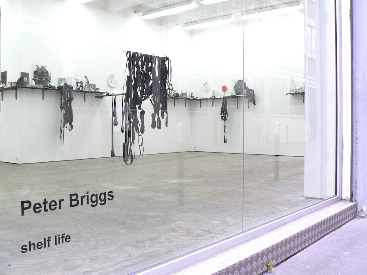 Peter Briggs vue de l'exposition à la galerie scrawitch